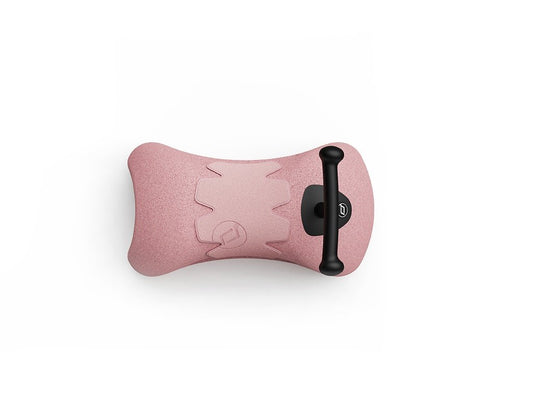 Scoot and Ride My First rose