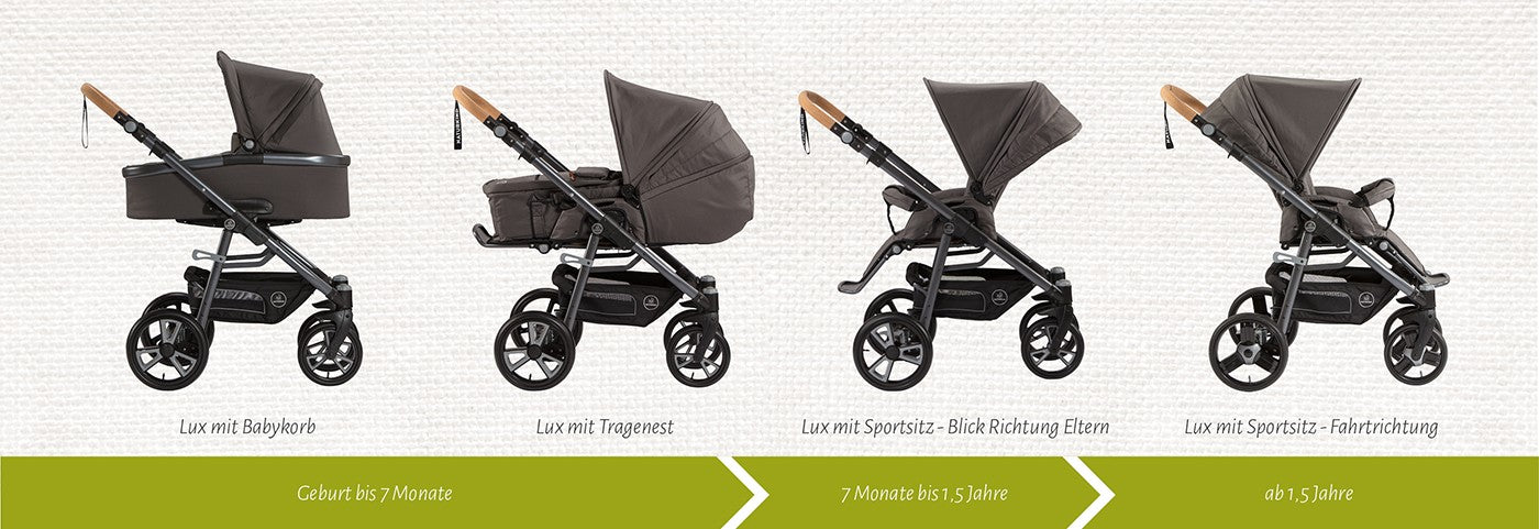 LUX EVO Kornblume - von Naturkind