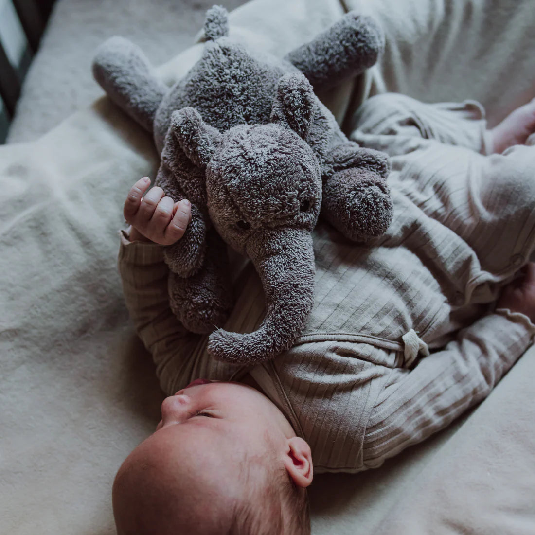 Heartbeat Elefant George grey - von flow