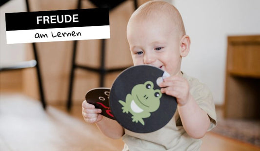 Hanniline Kontrastkarten 6. Monat