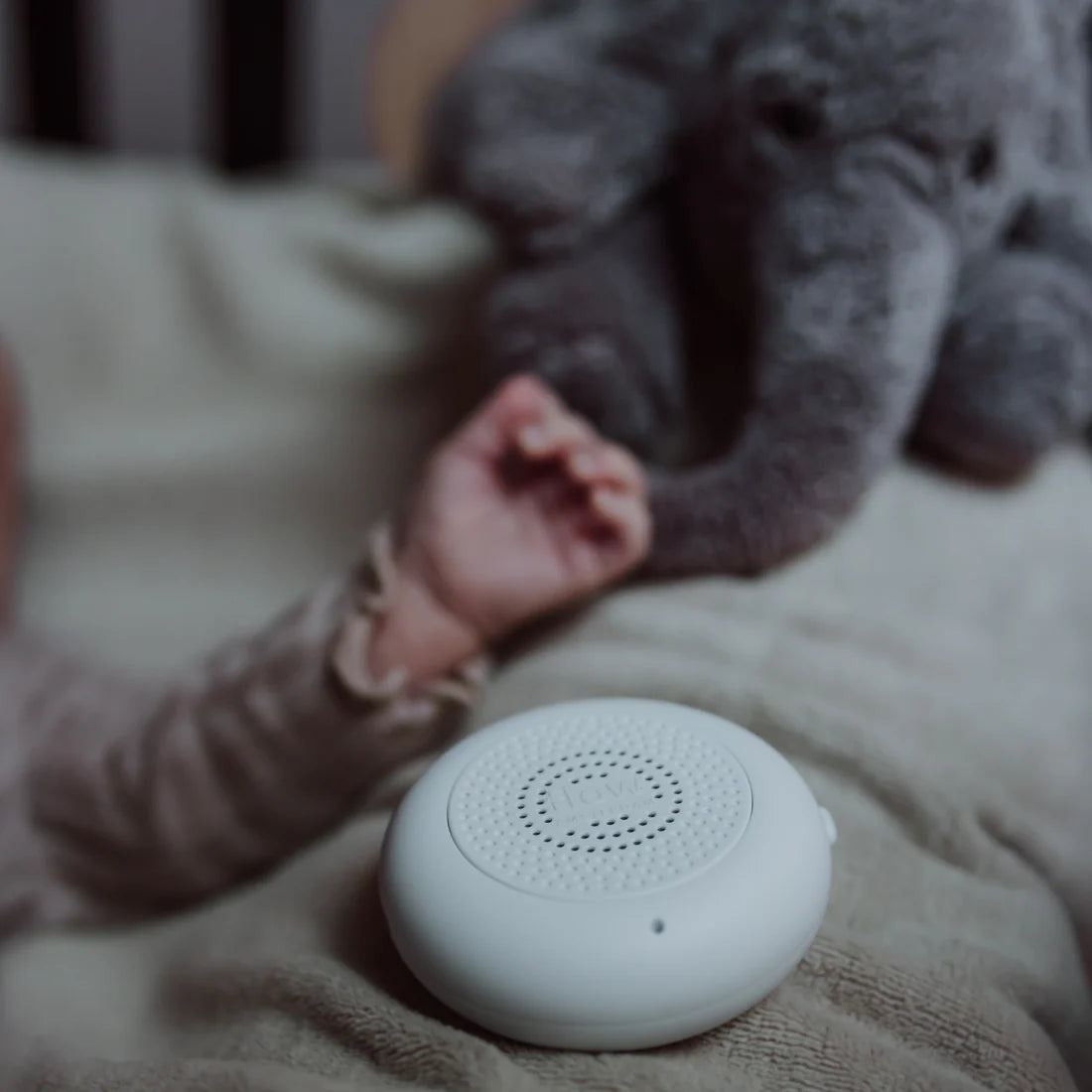 Heartbeat Elefant George grey - von flow
