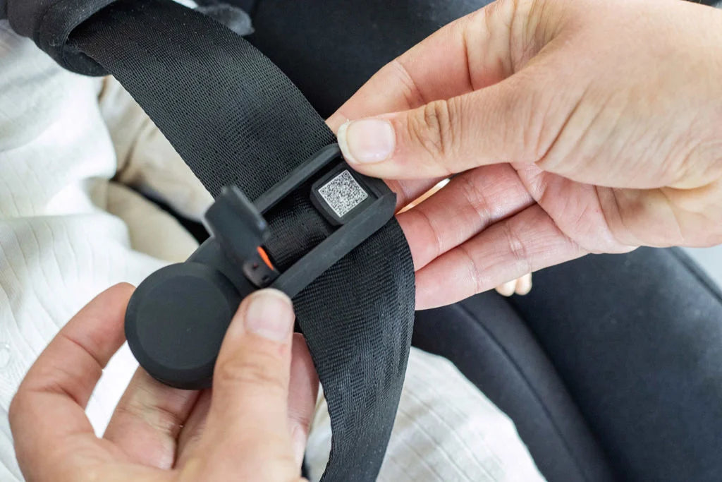 BeSafe Belt Keeper Universal