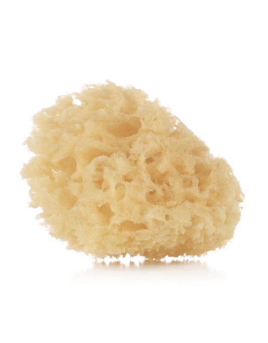 2er Set Badeschwamm - von jané