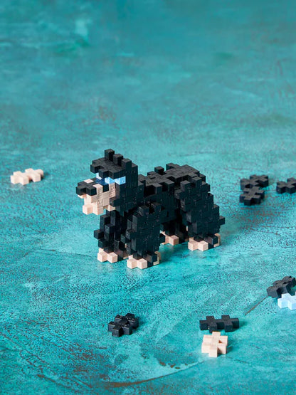 PlusPlus Bär 100er Set