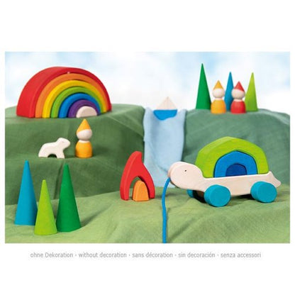 Ziehtier Schildkröte Tortuga - von goki