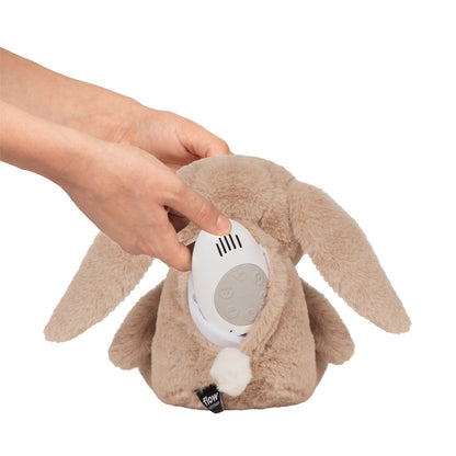 Schlaf Gut Softtoy Hase Milo braun - von flow