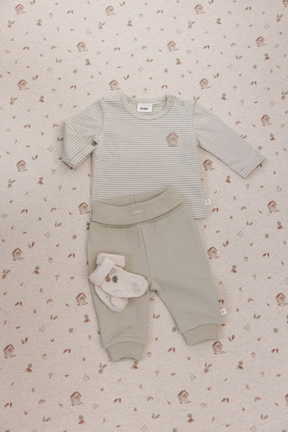Hose - Fall Favorites