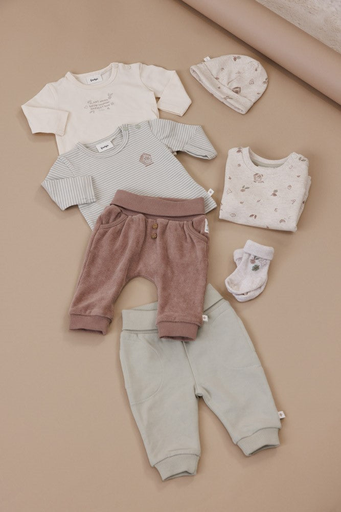 Hose - Fall Favorites