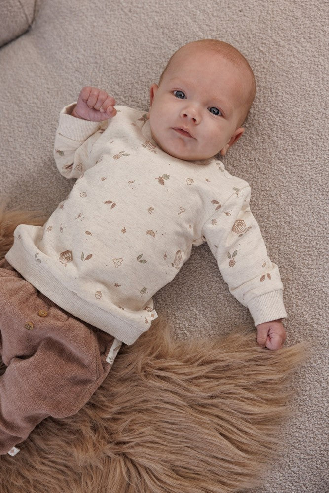Sweater AOP - Fall Favorites