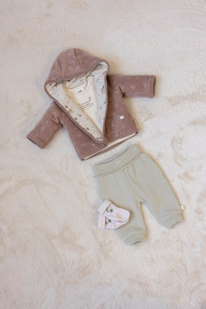 Hose - Fall Favorites