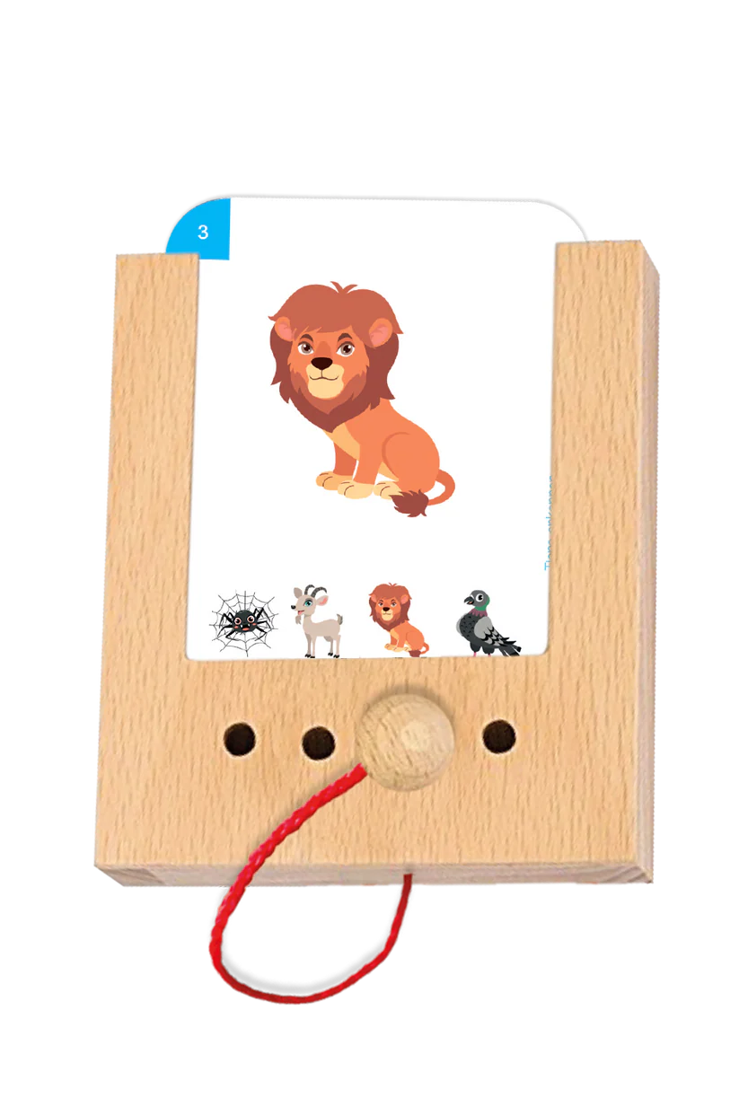 Tiere erkennen 2+