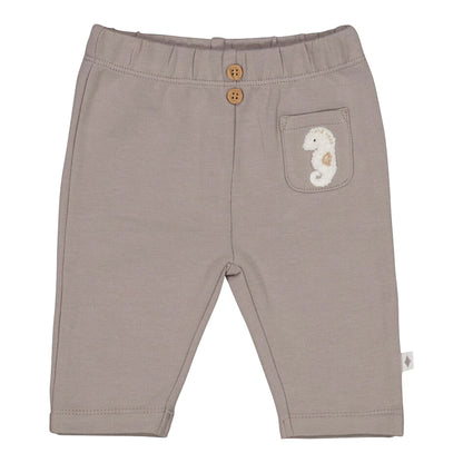 Graue Hose Seepferdchen