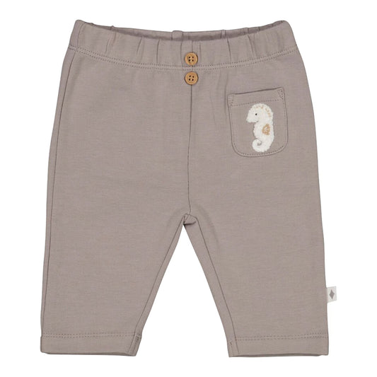 Graue Hose Seepferdchen