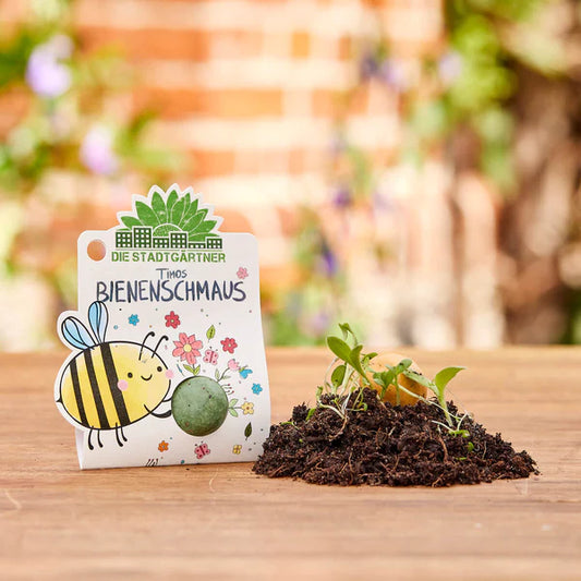 Blumenkugel Timos Bienenschmaus